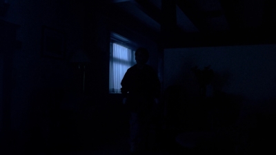 The_X-Files_S03E11_mp41230.jpg