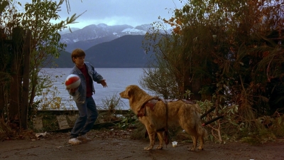 1997_-_Air_Bud_mp41269.jpg