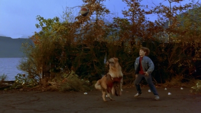 1997_-_Air_Bud_mp41326.jpg