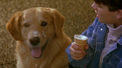 1997_-_Air_Bud_mp41713.jpg