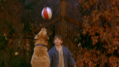 1997_-_Air_Bud_mp42684.jpg