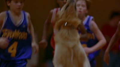 1997_-_Air_Bud_mp43025.jpg
