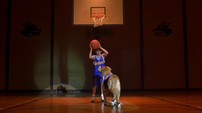 1997_-_Air_Bud_mp43408.jpg