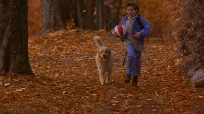 1997_-_Air_Bud_mp43687.jpg