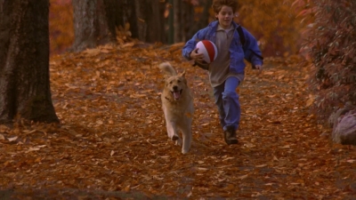 1997_-_Air_Bud_mp43688.jpg
