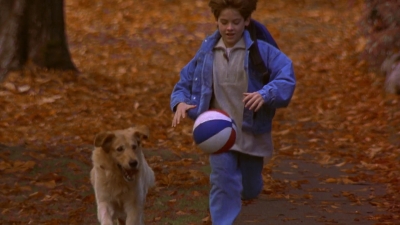 1997_-_Air_Bud_mp43698.jpg