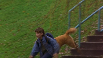 1997_-_Air_Bud_mp44117.jpg