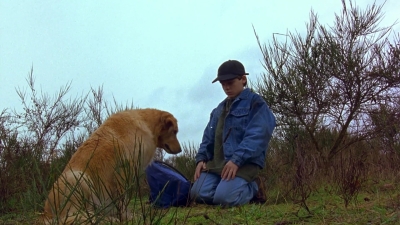 1997_-_Air_Bud_mp44260.jpg