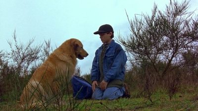 1997_-_Air_Bud_mp44263.jpg