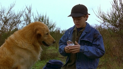 1997_-_Air_Bud_mp44302.jpg