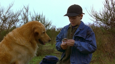 1997_-_Air_Bud_mp44303.jpg