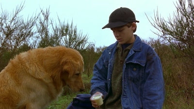 1997_-_Air_Bud_mp44307.jpg
