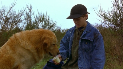 1997_-_Air_Bud_mp44308.jpg