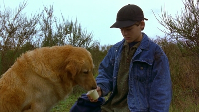 1997_-_Air_Bud_mp44309.jpg