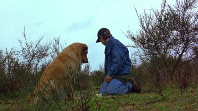 1997_-_Air_Bud_mp44328.jpg