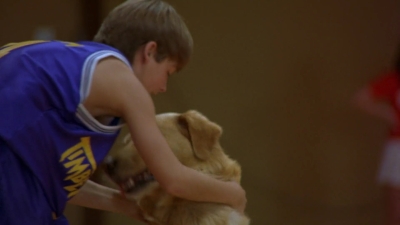 1997_-_Air_Bud_mp44870.jpg