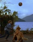 1997_-_Air_Bud_mp41321.jpg