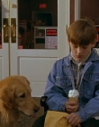 1997_-_Air_Bud_mp41704.jpg