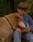 1997_-_Air_Bud_mp42630.jpg