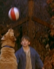1997_-_Air_Bud_mp42684.jpg