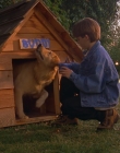 1997_-_Air_Bud_mp43663.jpg