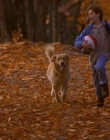 1997_-_Air_Bud_mp43686.jpg