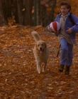 1997_-_Air_Bud_mp43687.jpg