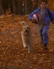 1997_-_Air_Bud_mp43688.jpg