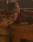 1997_-_Air_Bud_mp45371.jpg