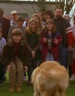 1997_-_Air_Bud_mp45608.jpg