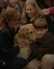 1997_-_Air_Bud_mp45639.jpg