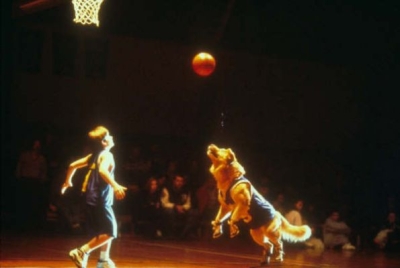 AirBud_28429.jpg