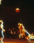 AirBud_28429.jpg