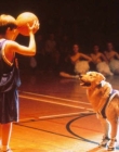 AirBud_28529.jpg
