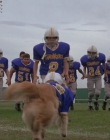 1998_-_Air_Bud_Golden_Receiver_mp44494.jpg