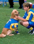 Filename=AirBud3_28429.jpg
Filesize=885KiB
Dimensions=3000x1976
Date added=Aug 13, 2025 AirBud3_28429.jpg