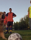 2000_-_Air_Bud_3_World_Pup_mp41268.jpg