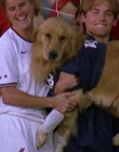 2000_-_Air_Bud_3_World_Pup_mp44683.jpg