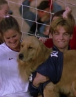 2000_-_Air_Bud_3_World_Pup_mp44684.jpg