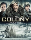 TheColony_28129.jpg
